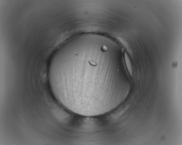 X0000091970261200709271413