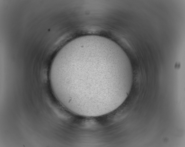 X0000091970262200709271413