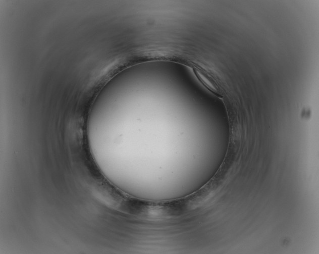 X0000091970264200709271413