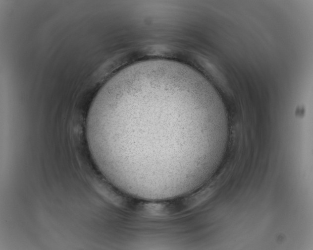 X0000091970265200709271413