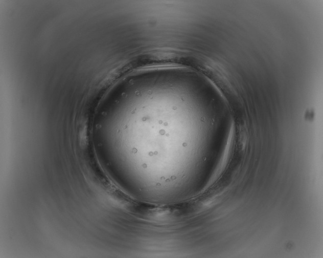 X0000091970267200709271413