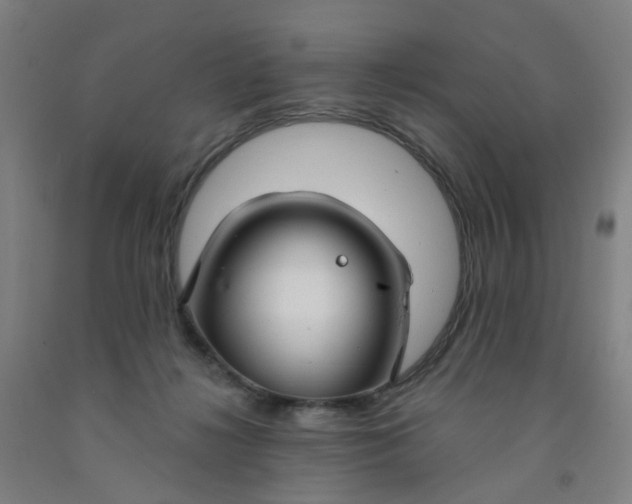 X0000091970268200709271413
