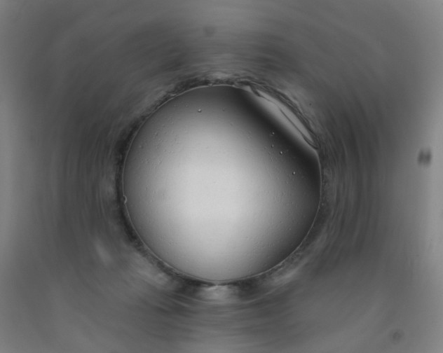 X0000091970269200709271413