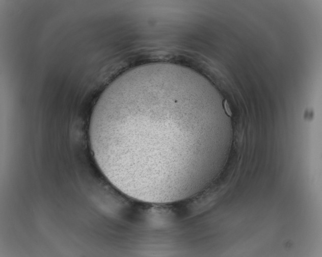 X0000091970270200709271413