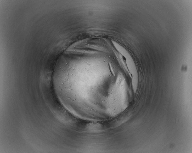 X0000091970271200709271413