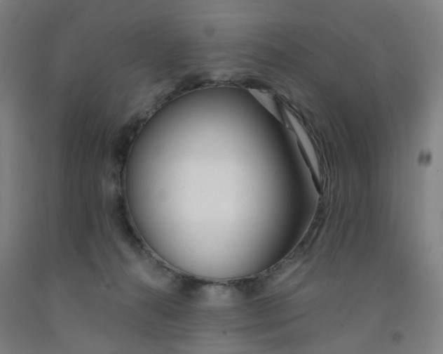 X0000091970272200709271413