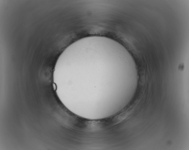 X0000091970273200709271413