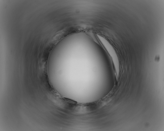 X0000091970276200709271413