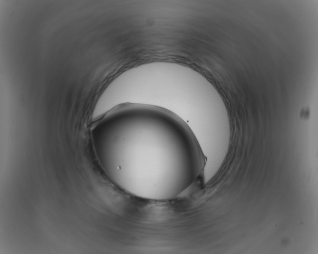 X0000091970280200709271413