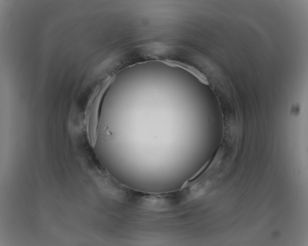 X0000091970284200709271413
