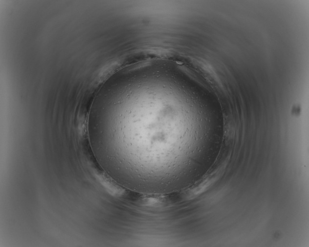 X0000091970285200709271413
