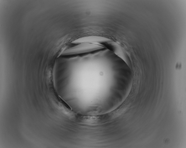 X0000091970288200709271413