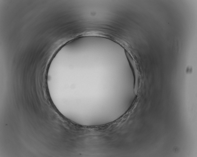 X0000091970289200709271413