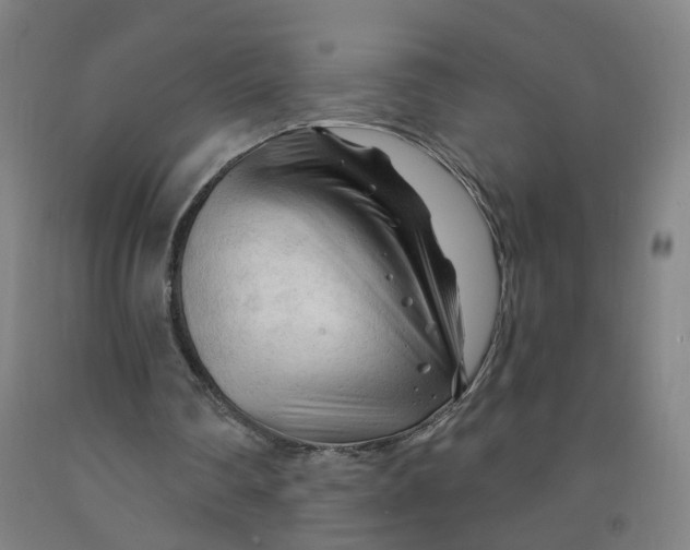 X0000091970290200709271413