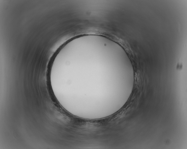 X0000091970292200709271412
