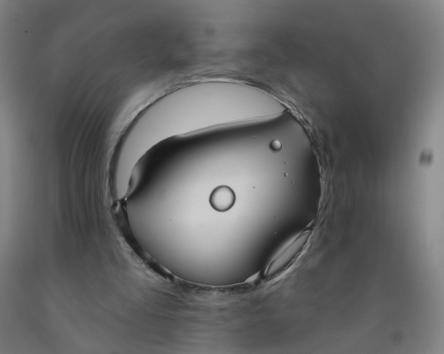 X0000091970293200709271412