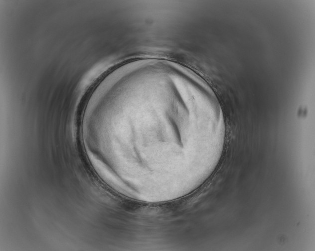 X0000091970294200709271412