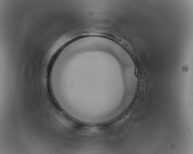 X0000091970295200709271412