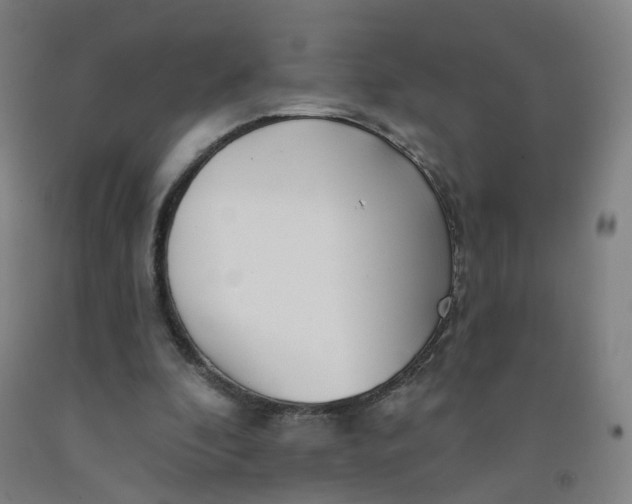 X0000091970296200709271412