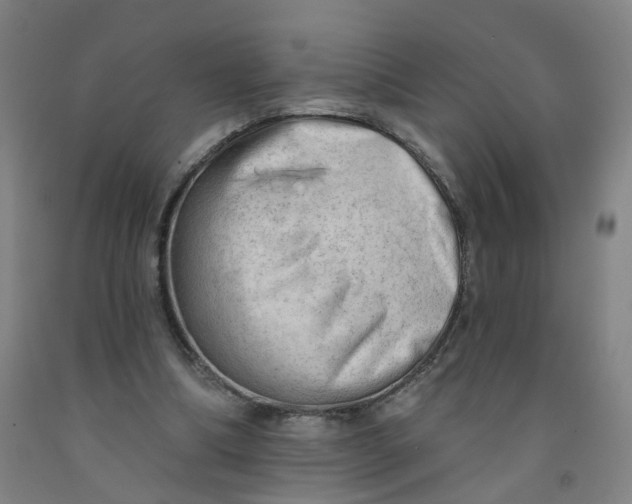 X0000091970298200709271412