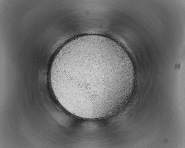 X0000091970299200709271412