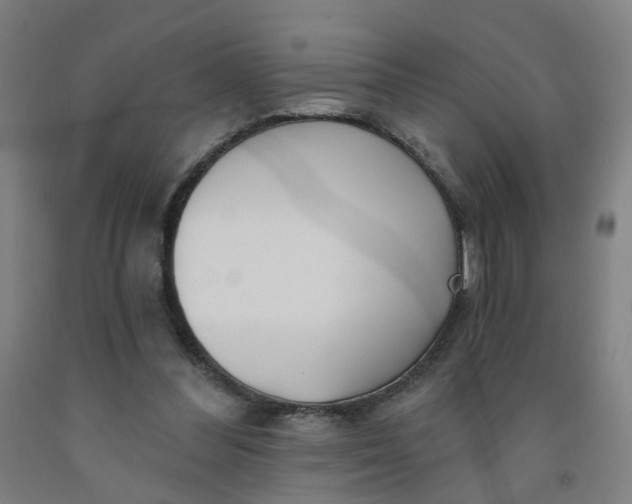 X0000091970300200709271412