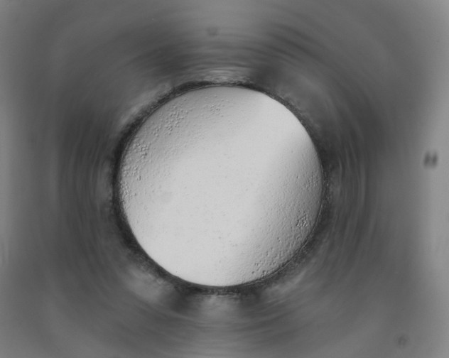 X0000091970303200709271412