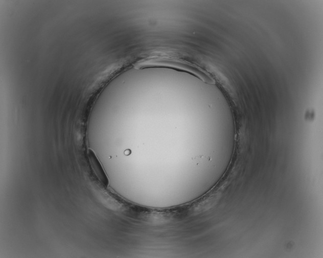 X0000091970305200709271412