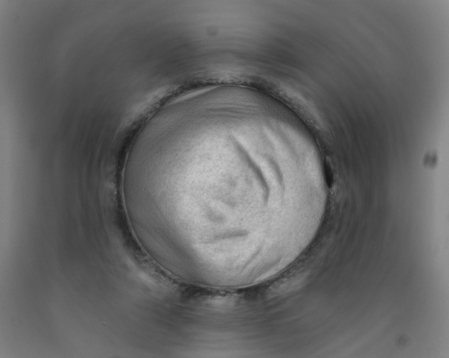 X0000091970306200709271412