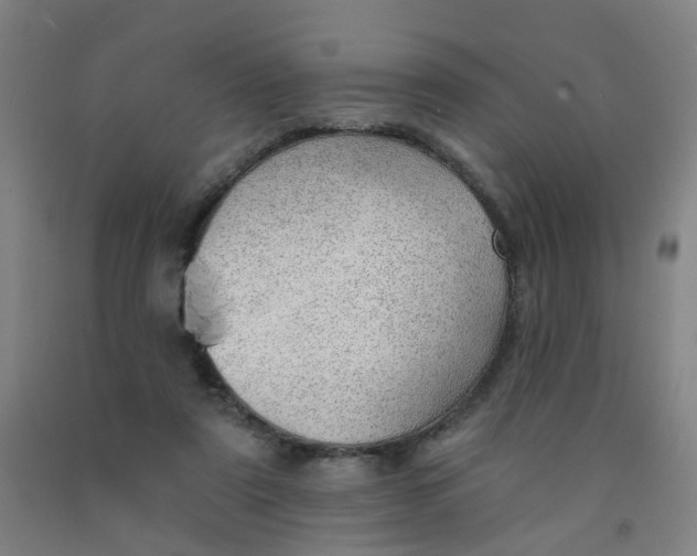 X0000091970307200709271412