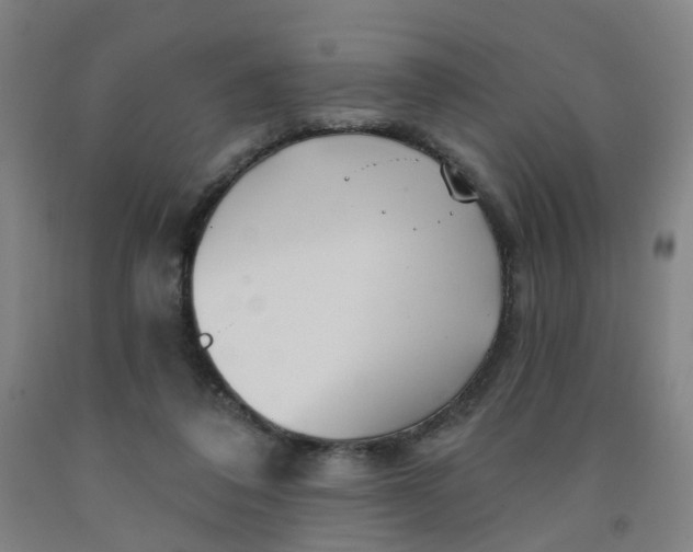 X0000091970308200709271412