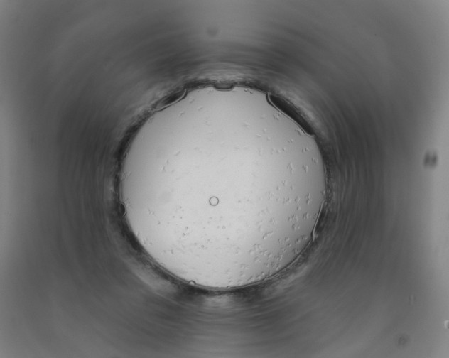 X0000091970309200709271412