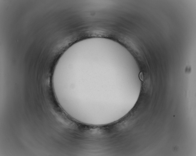 X0000091970310200709271412