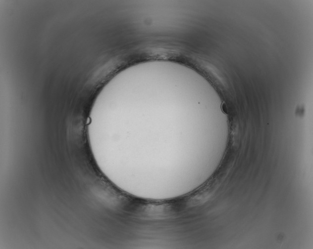 X0000091970314200709271412
