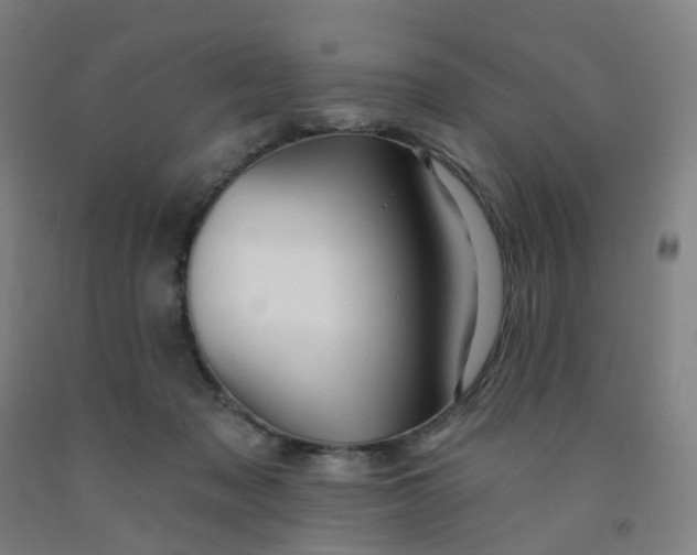 X0000091970317200709271412