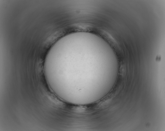 X0000091970318200709271412