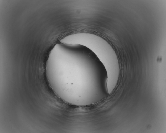 X0000091970320200709271412