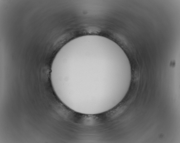X0000091970321200709271412