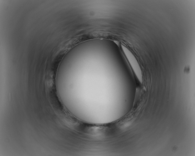 X0000091970323200709271412