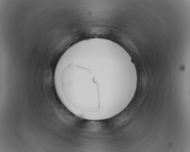 X0000091970328200709271412