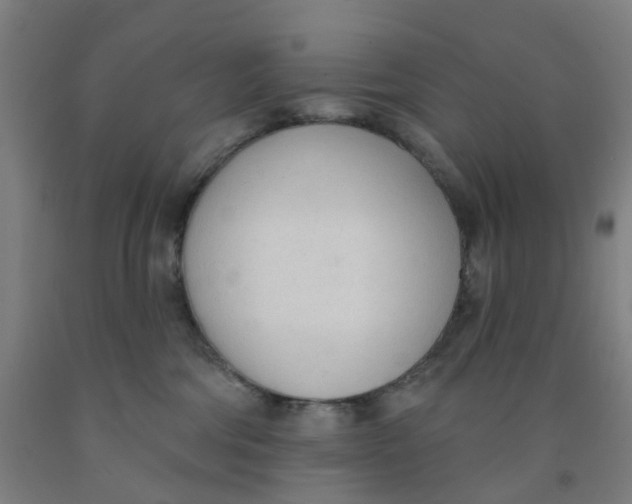 X0000091970330200709271412