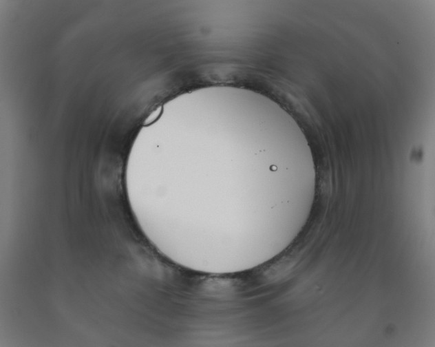 X0000091970332200709271412