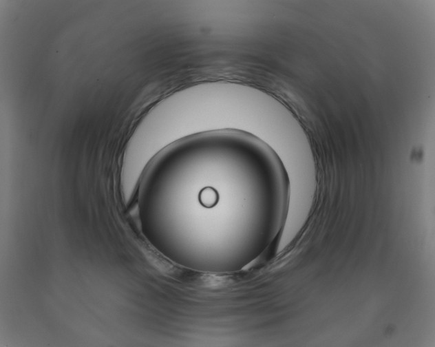 X0000091970333200709271412