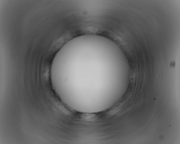 X0000091970334200709271412