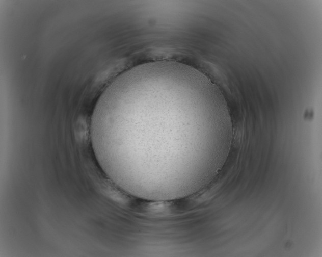X0000091970335200709271412