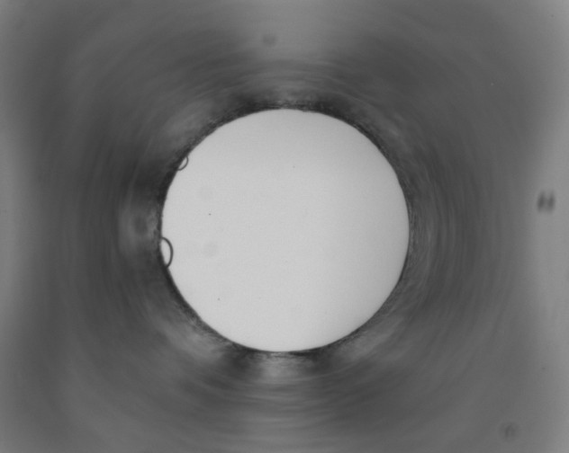 X0000091970336200709271412