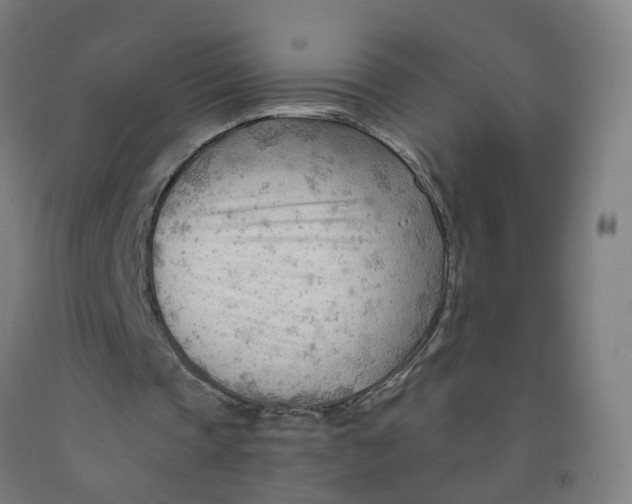 X0000091970337200709271411