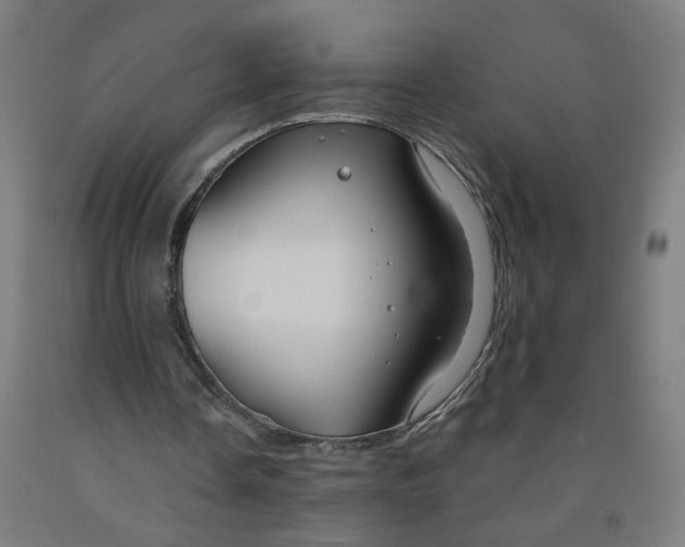 X0000091970338200709271411