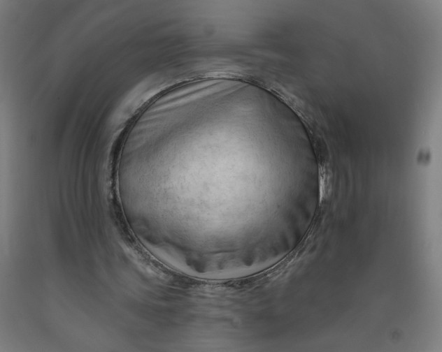 X0000091970339200709271411