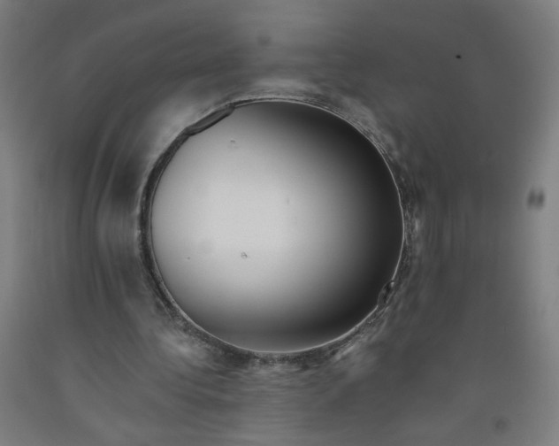 X0000091970340200709271411